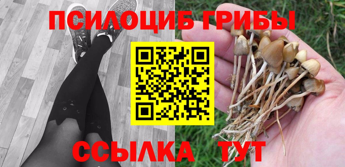 Абинск  Псилоцибиновые грибы Psilocybe  Вход с VPN 