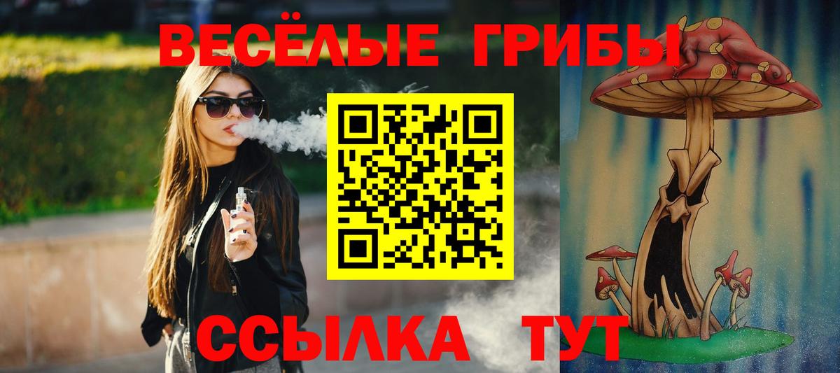 Галлюциногенные грибы Cubensis Абинск